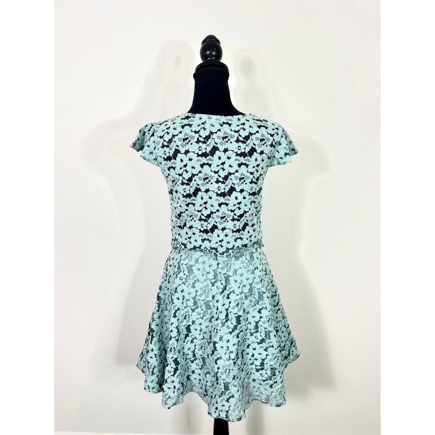 Alexis Tovi Lace Crop Top & Skirt Two Piece Set in Misty Blue Small Floral Lined