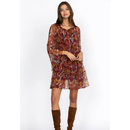 Johnny Was Daisy Mini Dress in Multi Floral Small Long Sleeve Ruffle Sheer Silk