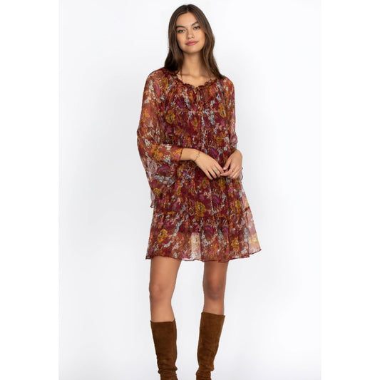 Johnny Was Daisy Mini Dress in Multi Floral Small Long Sleeve Ruffle Sheer Silk